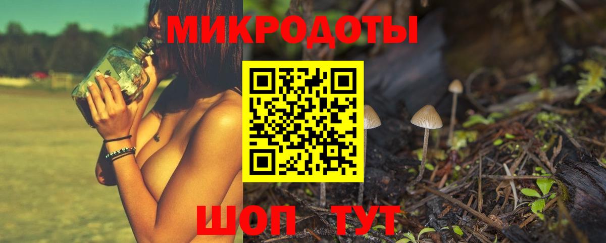 Галлюциногенные грибы Cubensis Калач-на-Дону